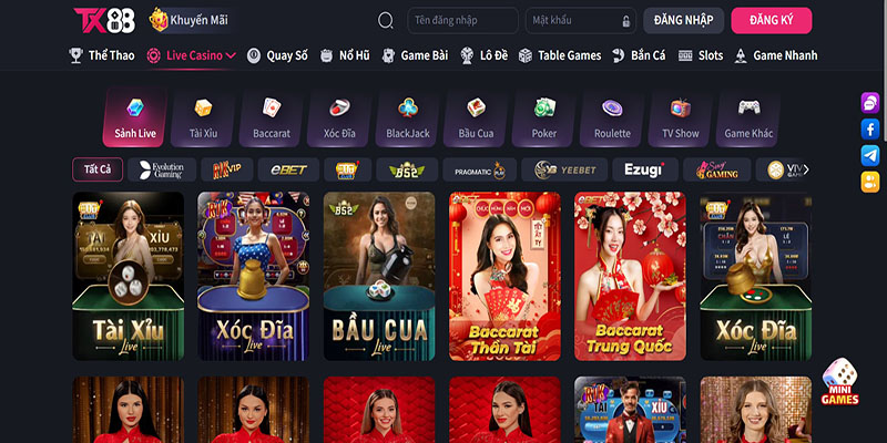 Quyền Và Nghĩa Vụ Của Người Chơi